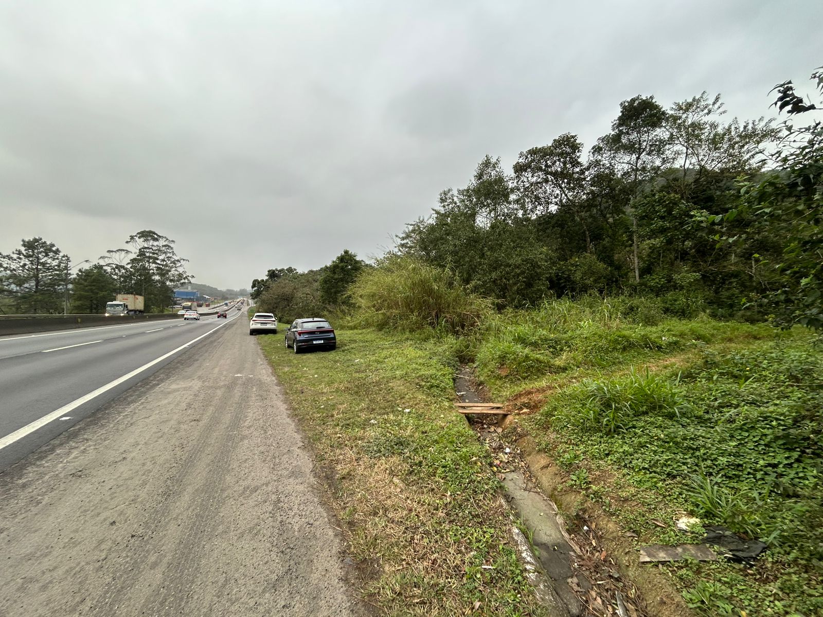 Terreno em Gaspar próximo à BR-101 com 5.600 m²