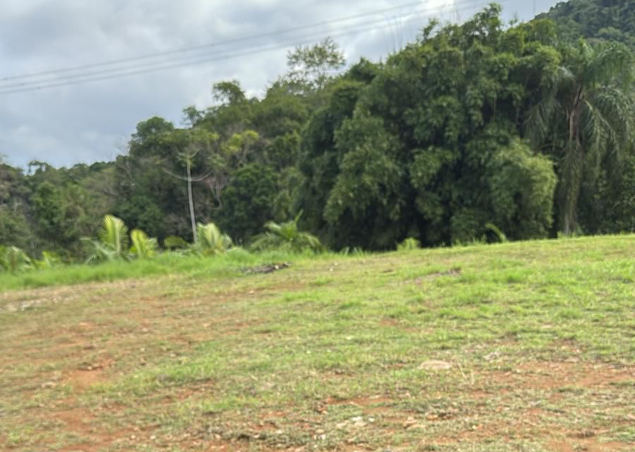 Terreno de 265 mil m² ideal para loteamento